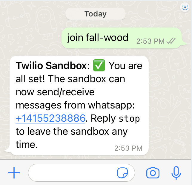 WhatsApp handshake between Twilio platform and my phone